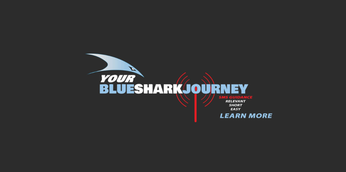 Blustream Powers Blue Shark Trading's Automated Product Experience